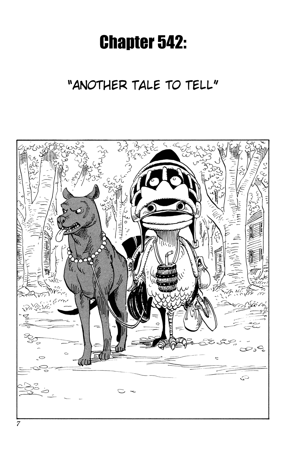One Piece, Chapter 542 image 11